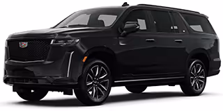 boston limousine service